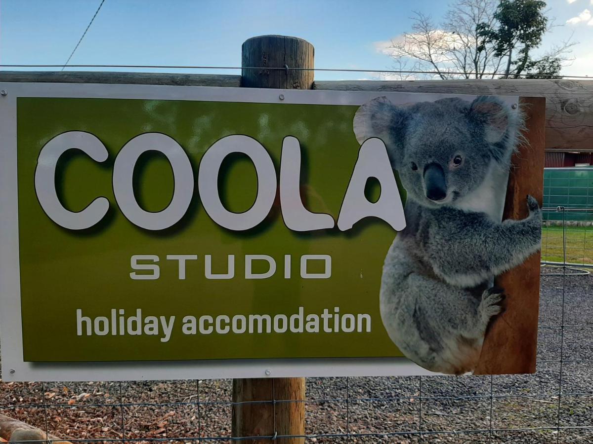 Apartment Coola